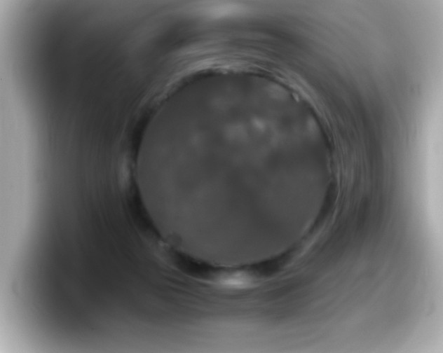 X0000099990169200805231459