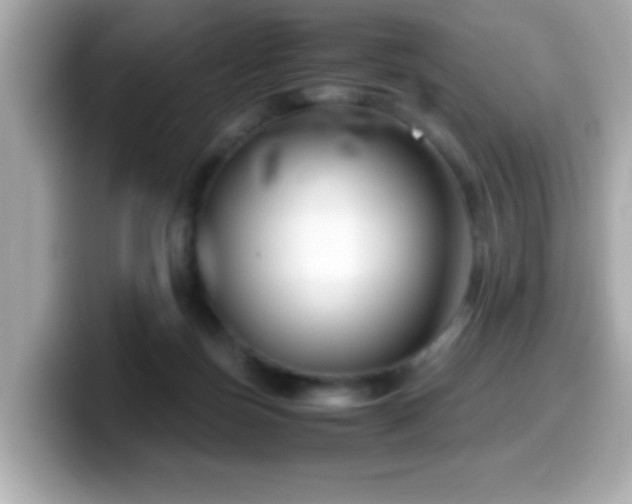 X0000099990171200805231459