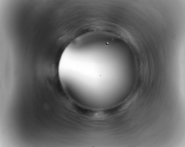 X0000099990173200805231459