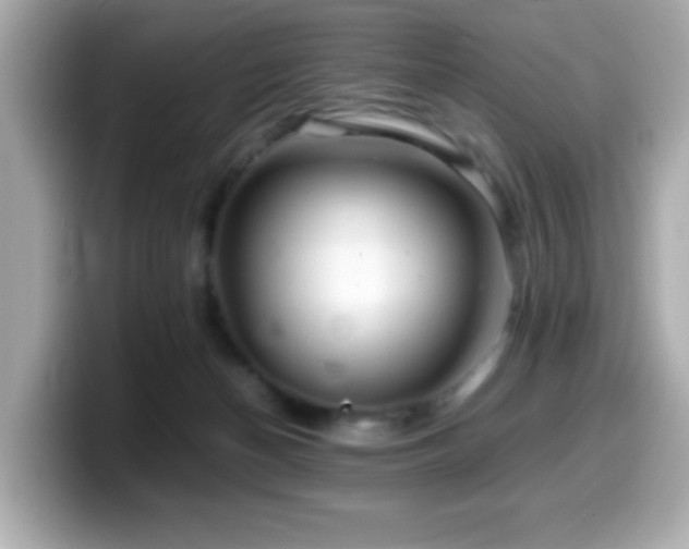X0000099990174200805231459