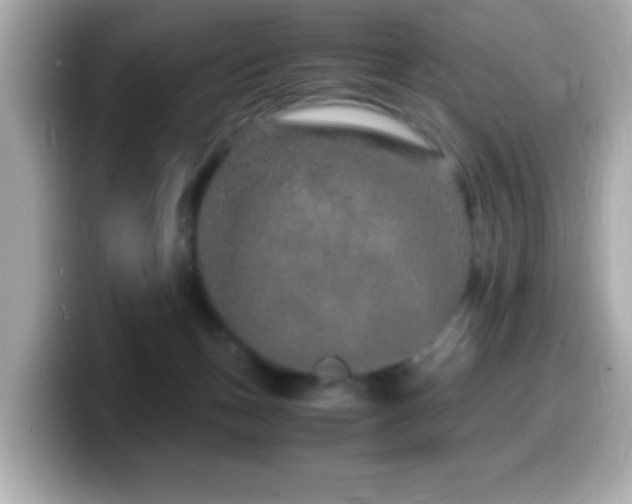 X0000099990175200805231500
