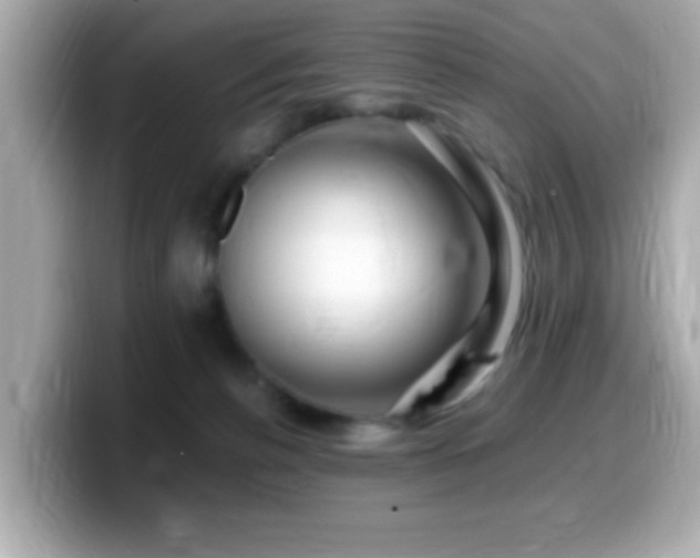 X0000099990176200805231500