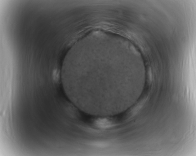 X0000099990177200805231500