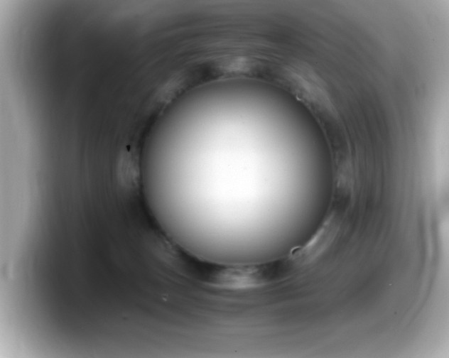 X0000099990179200805231500