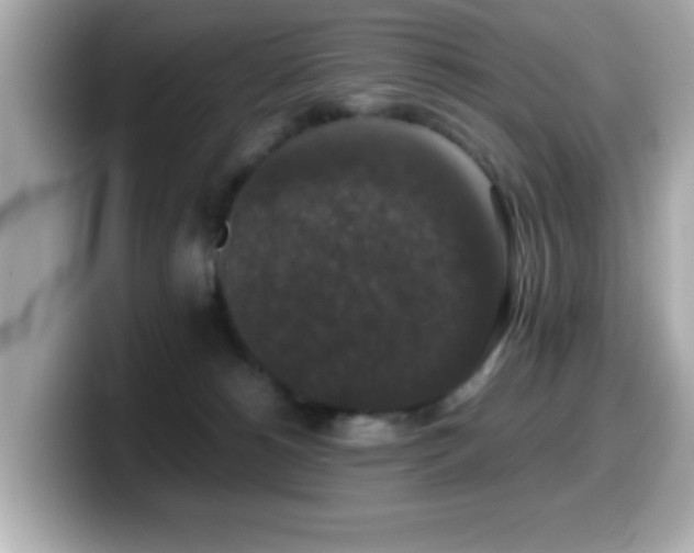 X0000099990180200805231500