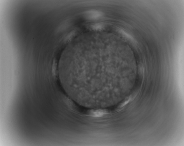 X0000099990181200805231500
