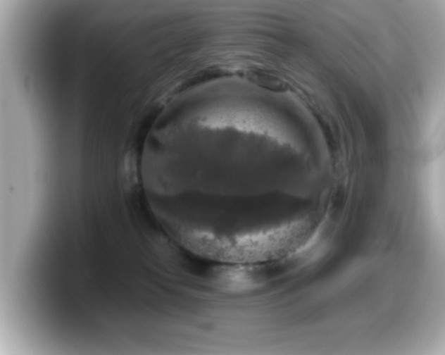 X0000099990182200805231500