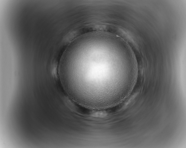 X0000099990185200805231500
