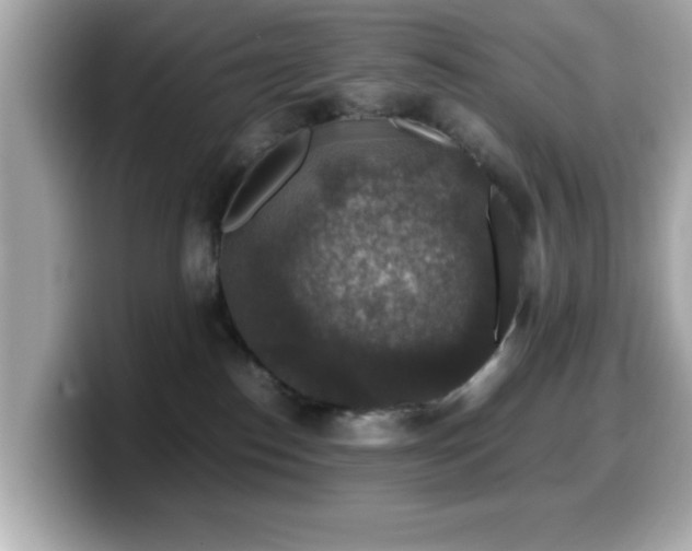 X0000099990186200805231500