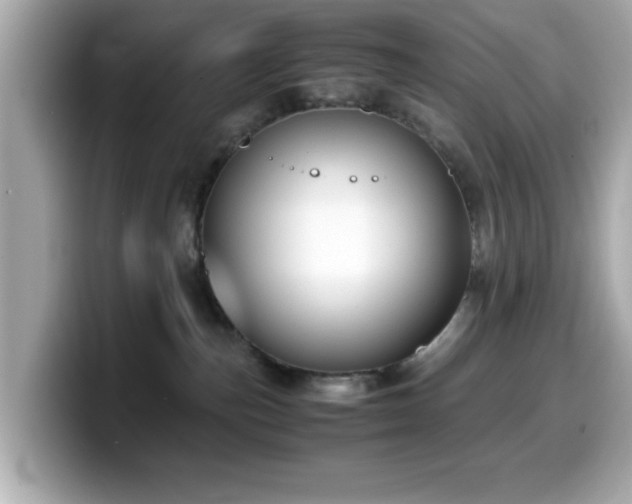 X0000099990187200805231500