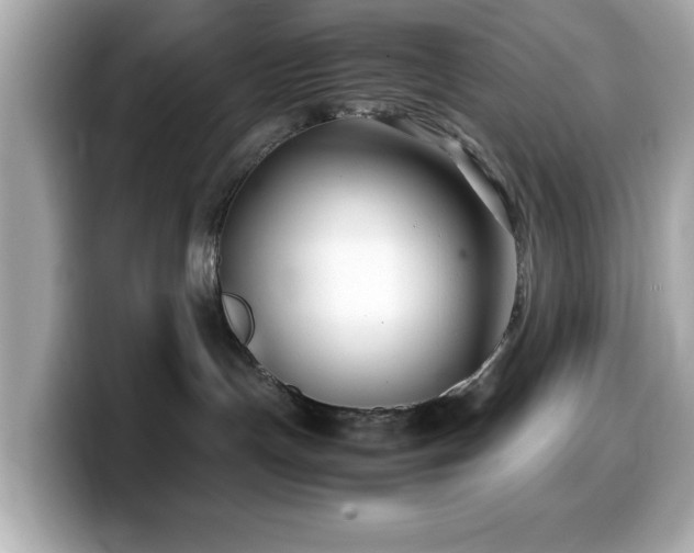 X0000099990191200805231500