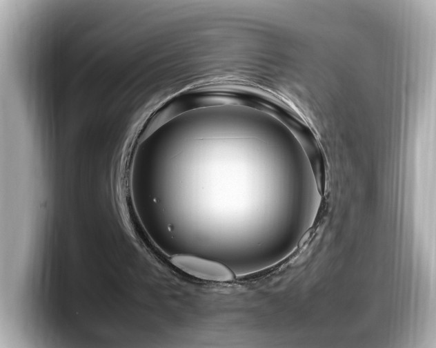 X0000099990193200805231459