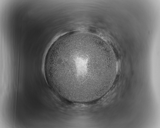 X0000099990195200805231459