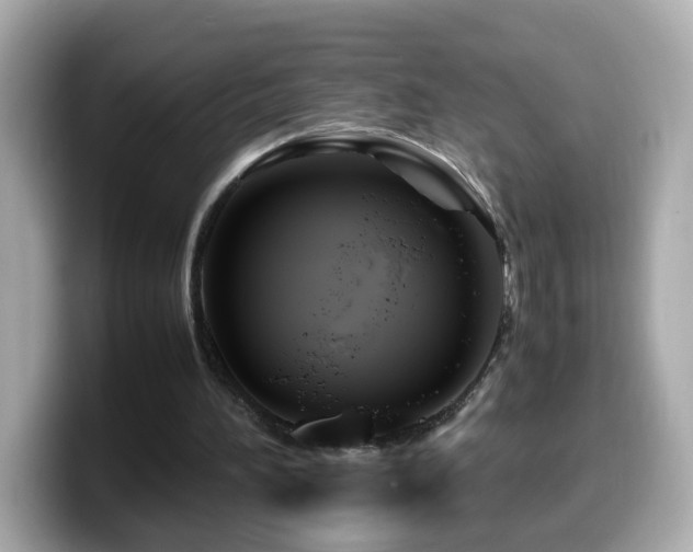X0000099990196200805231459