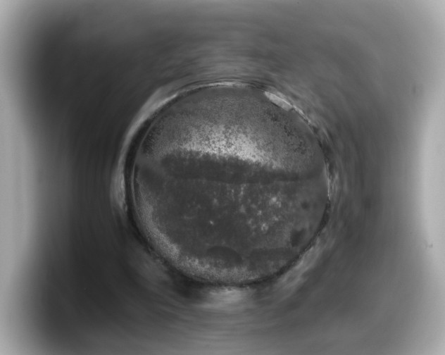 X0000099990198200805231459