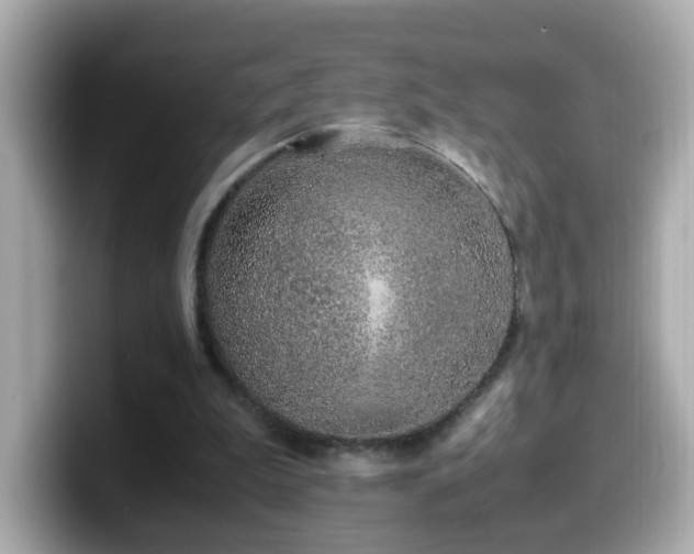 X0000099990199200805231459