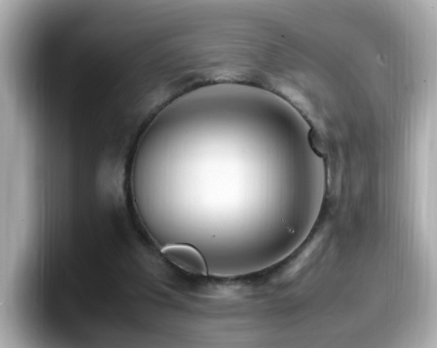 X0000099990201200805231459