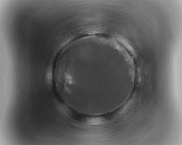 X0000099990202200805231459