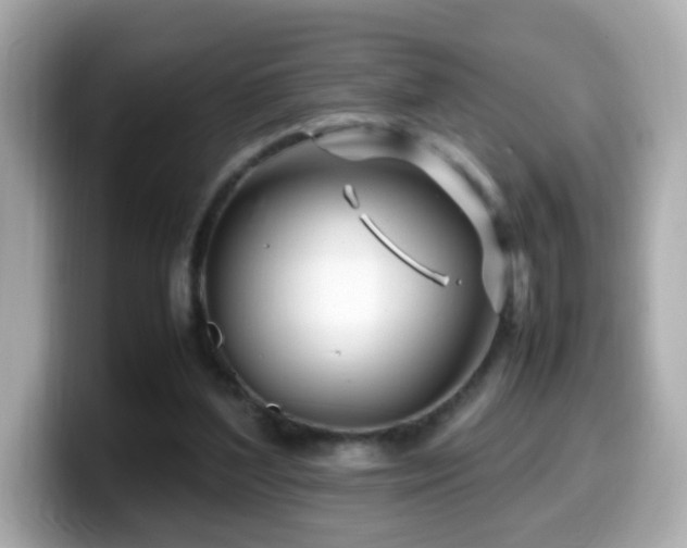 X0000099990204200805231459