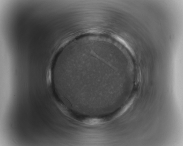 X0000099990205200805231459