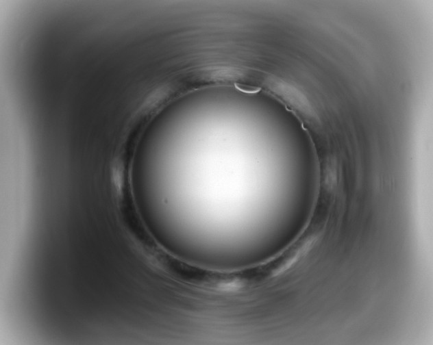 X0000099990206200805231459
