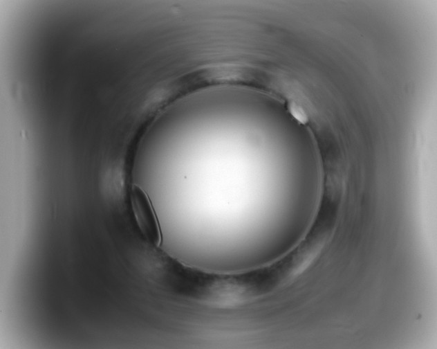 X0000099990207200805231459