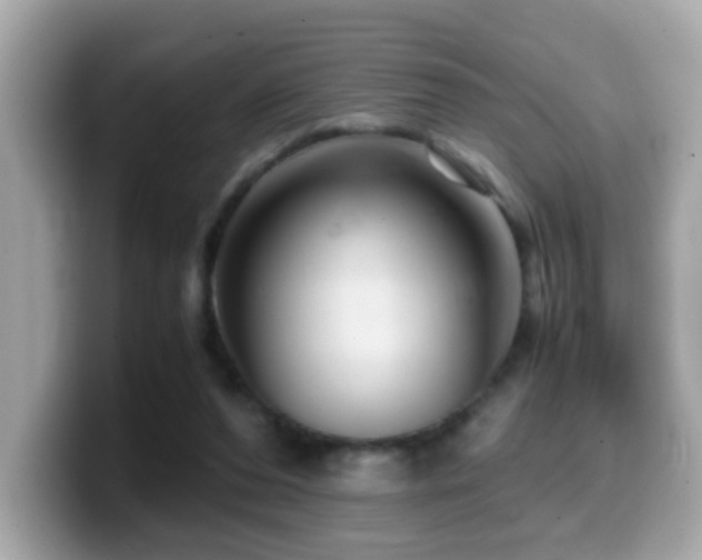 X0000099990208200805231459