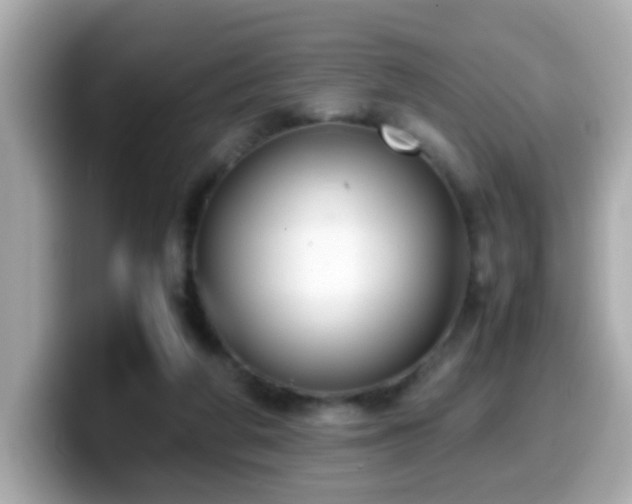 X0000099990210200805231459