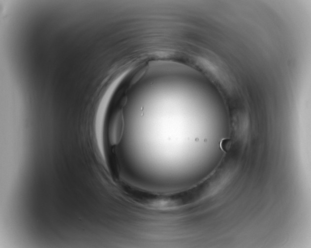 X0000099990212200805231459