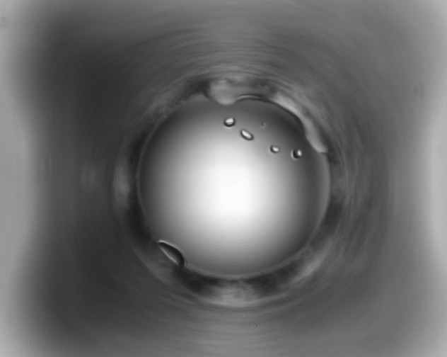 X0000099990215200805231459