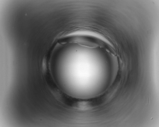 X0000099990216200805231459