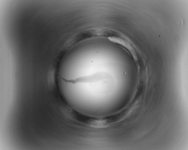 X0000099990217200805231459