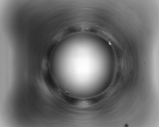 X0000099990218200805231459