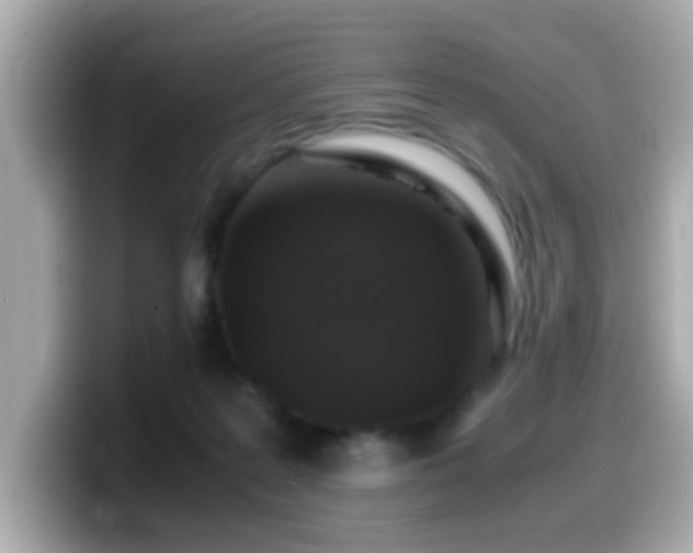 X0000099990219200805231459