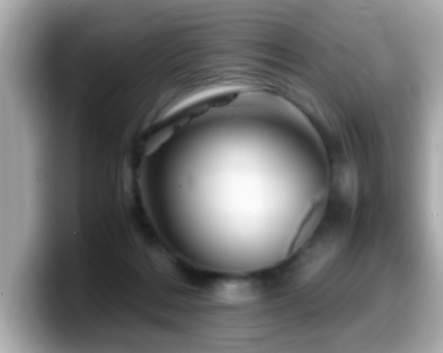 X0000099990220200805231459