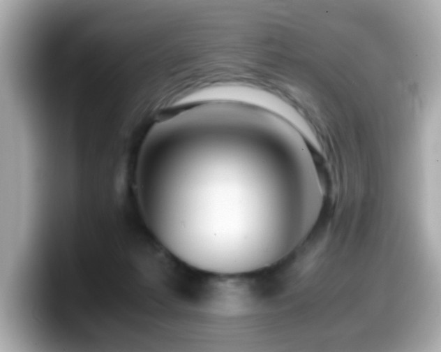 X0000099990221200805231459