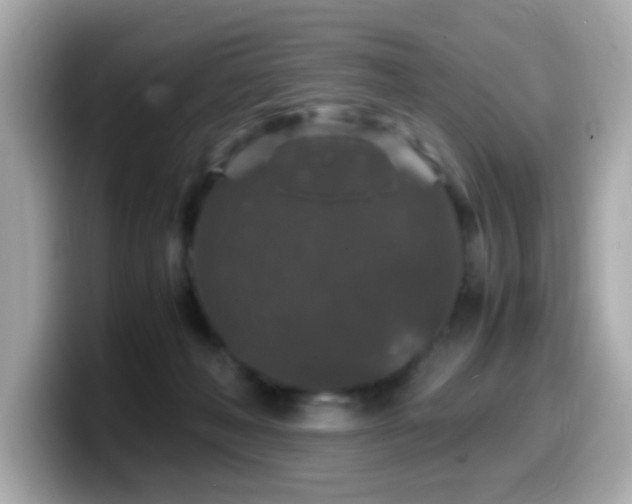 X0000099990222200805231459