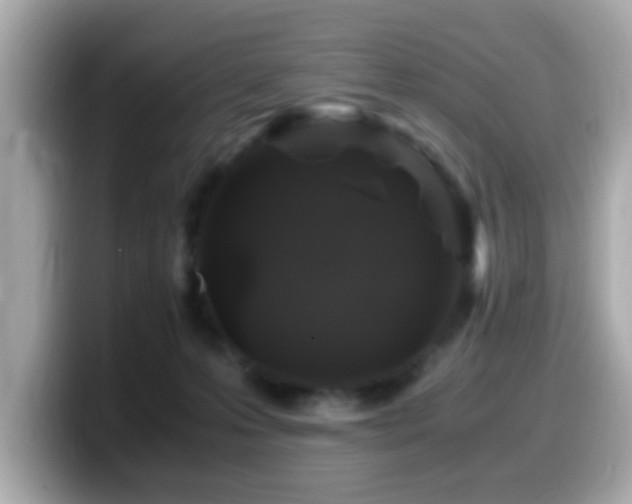X0000099990223200805231459