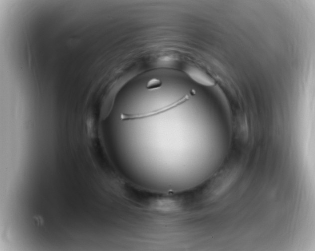 X0000099990224200805231459