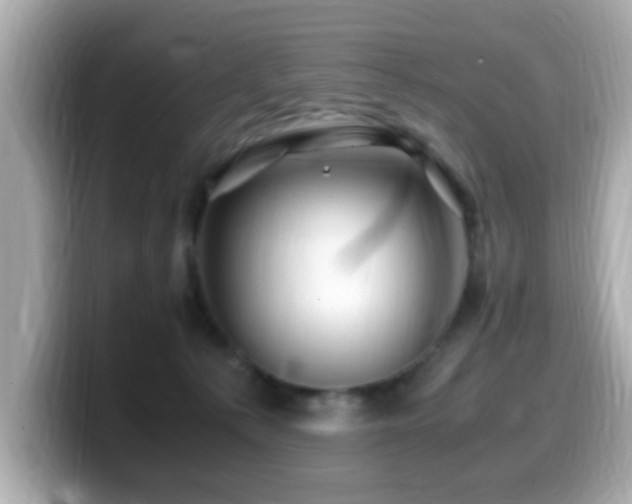 X0000099990225200805231459