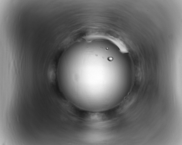 X0000099990226200805231459