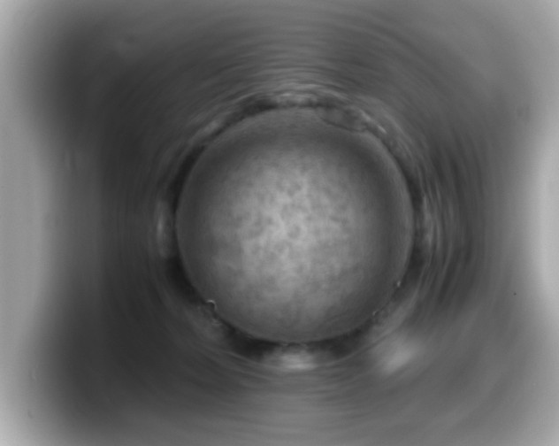 X0000099990228200805231459