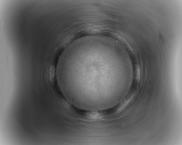 X0000099990230200805231459