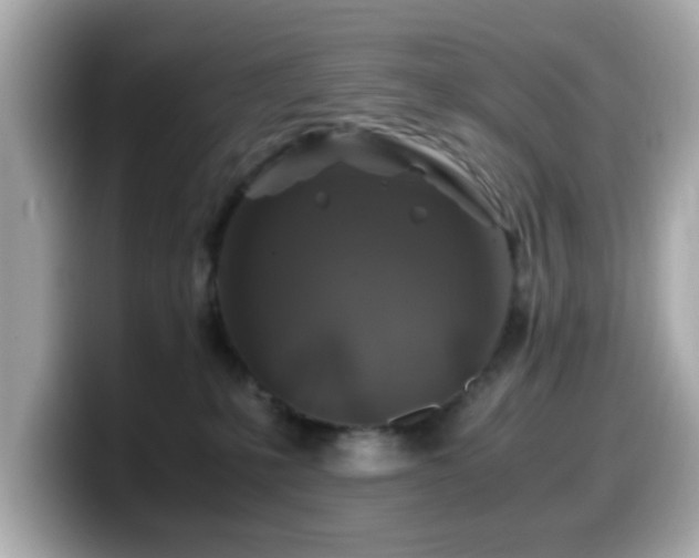 X0000099990231200805231459
