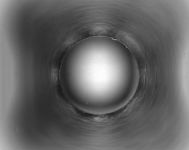 X0000099990232200805231459