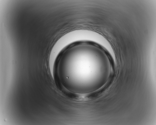 X0000099990233200805231459