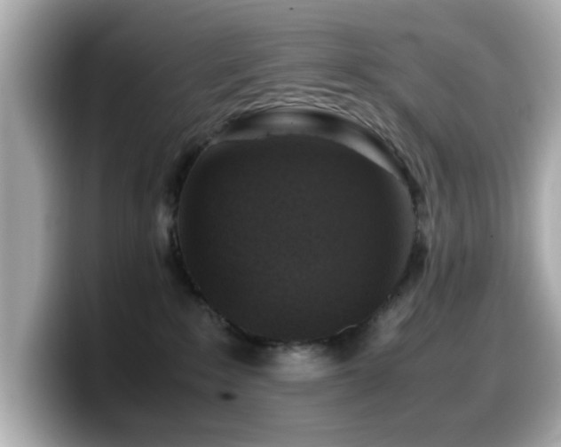 X0000099990235200805231459