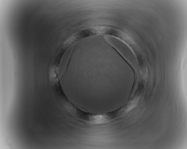 X0000099990237200805231459