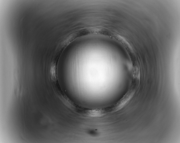 X0000099990238200805231459