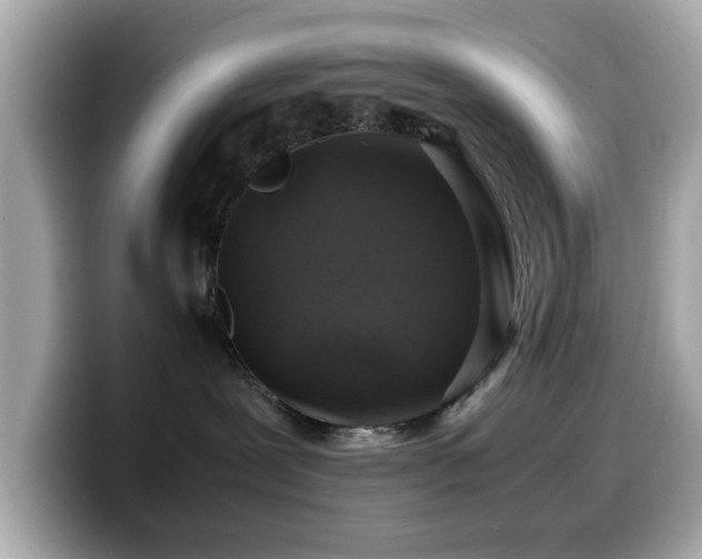 X0000099990239200805231459